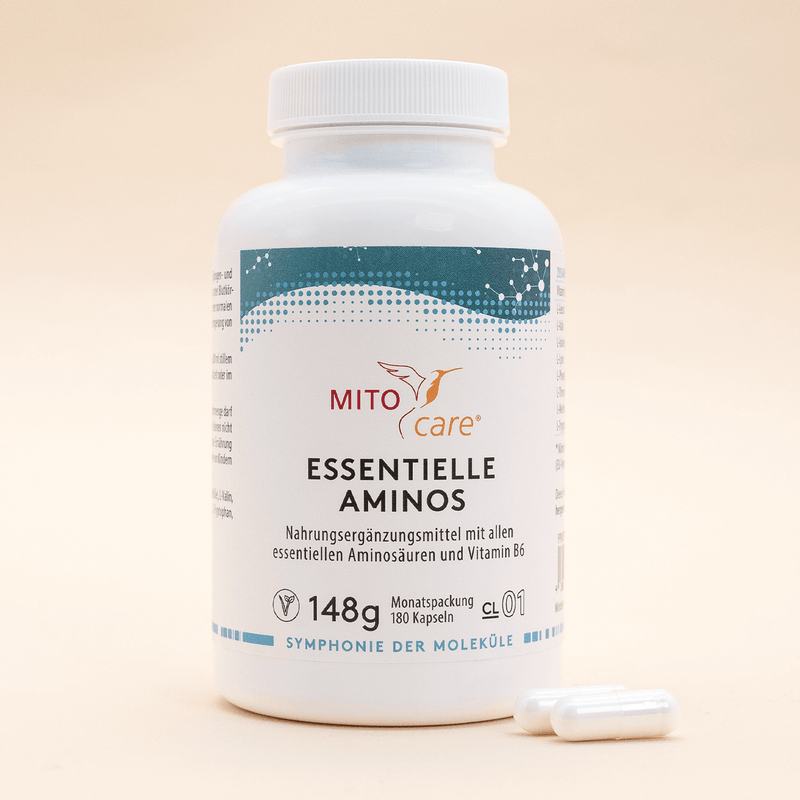 Essentielle Aminos