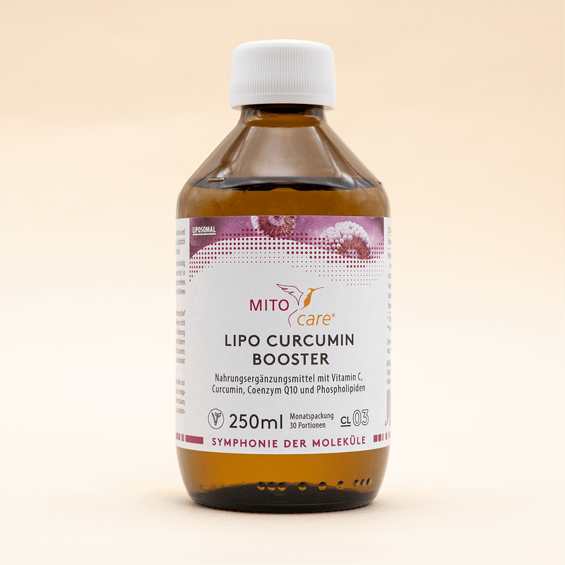 LIPO Curcumin Booster