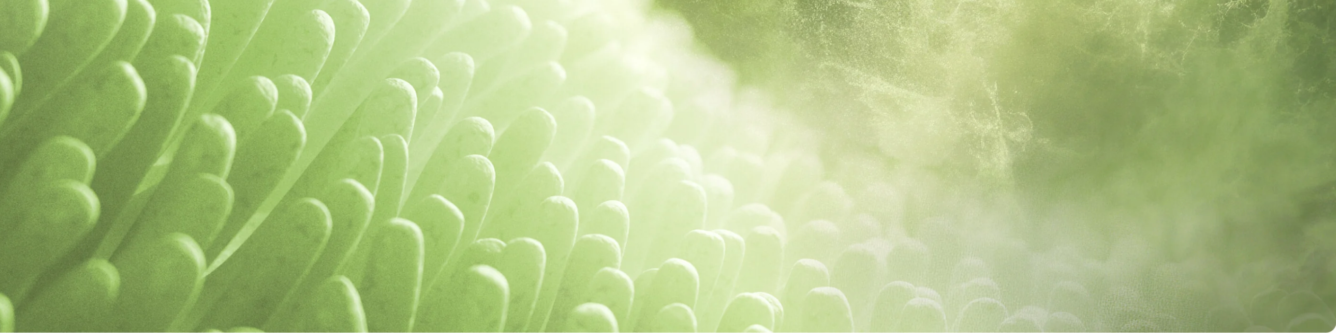 histamine picture
