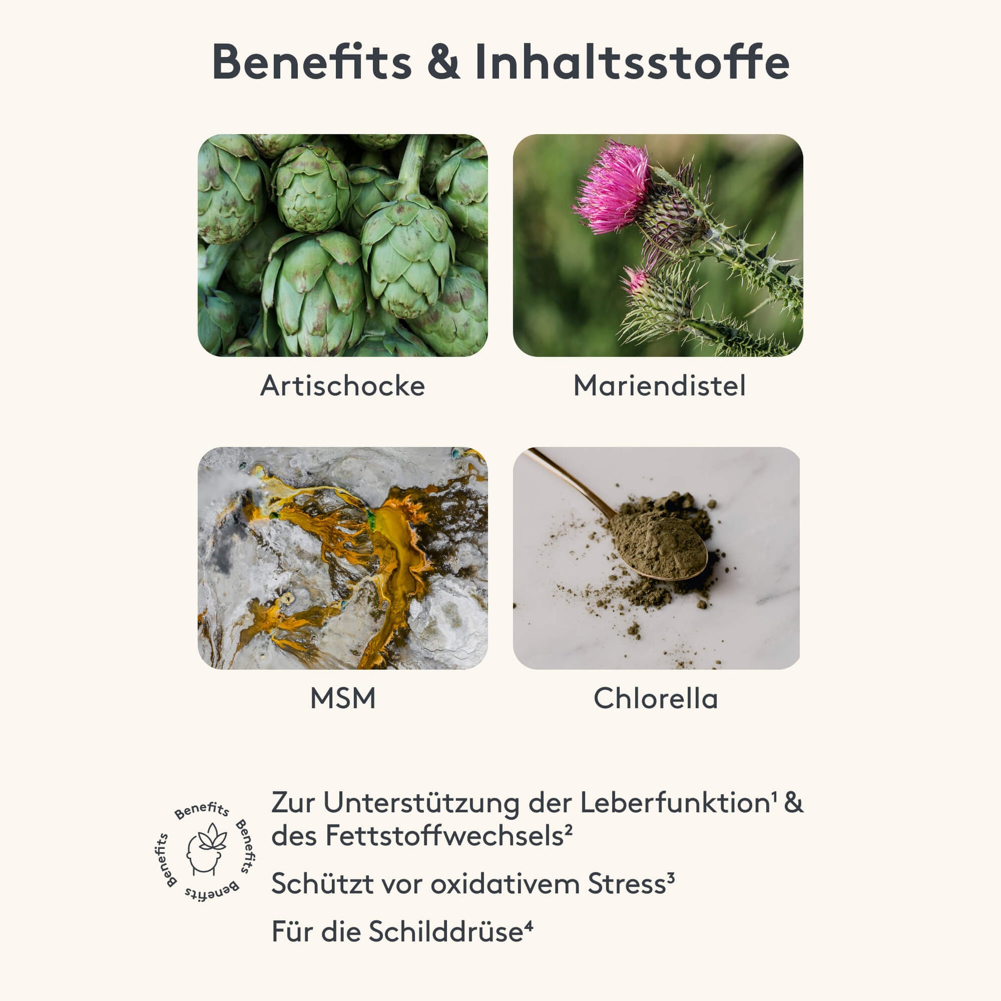 Benefits und Inhaltstoffe MITOcare Hepar