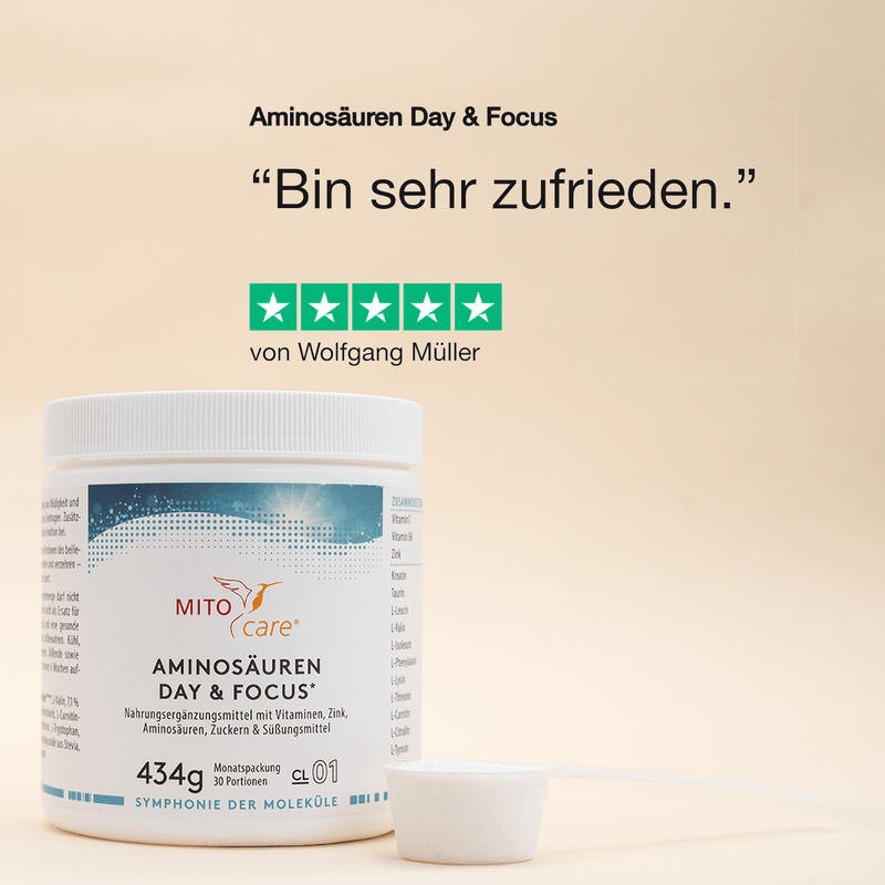 Aminosäuren Day & Focus