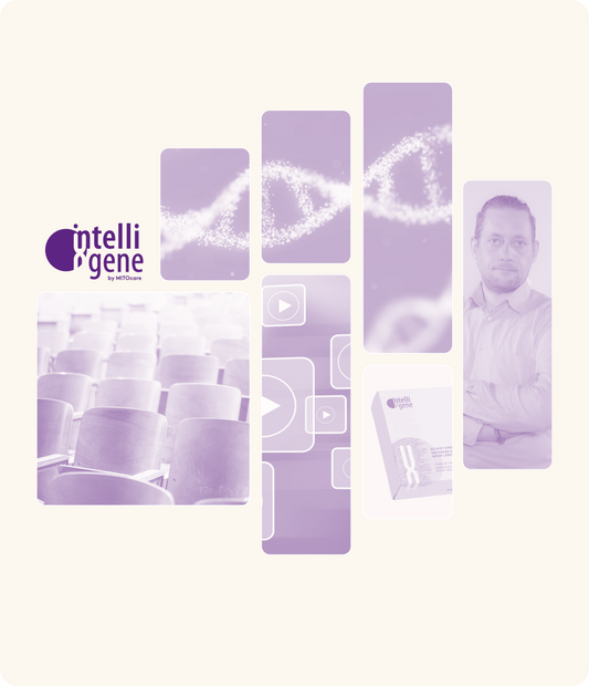 intelligene Bundle (Grund- und Aufbaukurs; 3 Tage)
