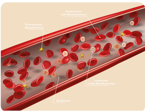 Grafische Darstellung der Blutbestandteile