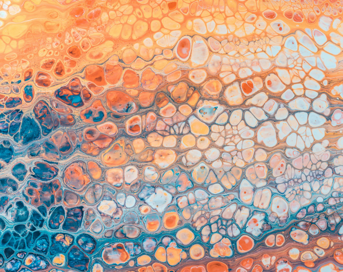 Zucker, Stress & Insulinresistenz – was auf Zellebene wirklich passiert