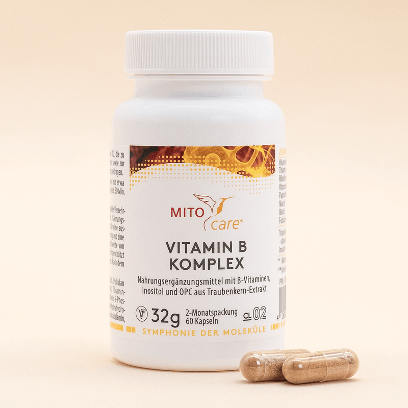 Vitamin B Komplex