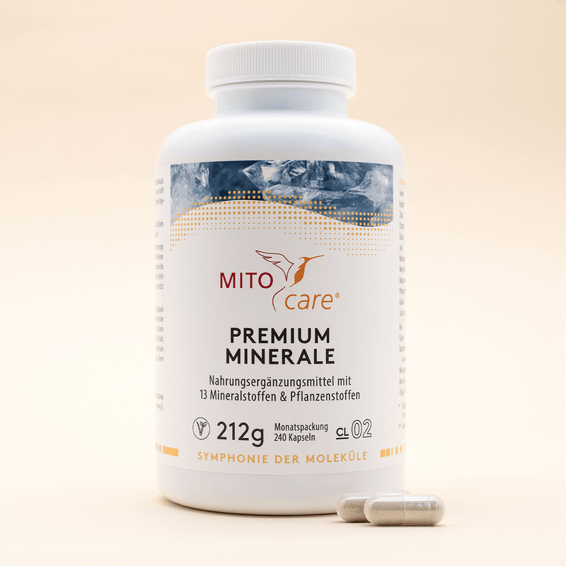 Premium Minerals