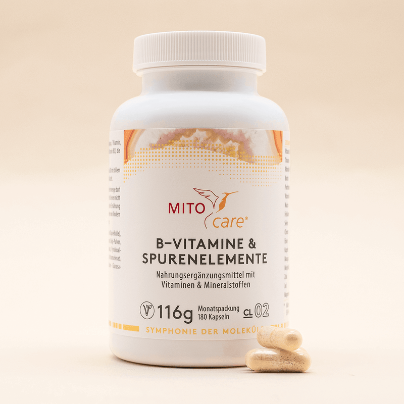 B-Vitamine & Spurenelemente