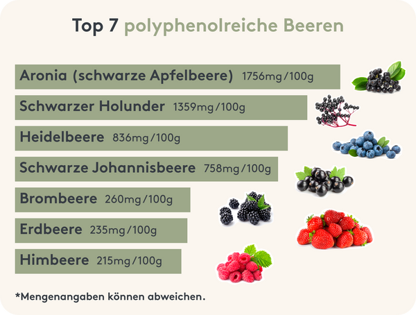 Übersicht der Top-7-Beeren, die sekundäre Pflanzenstoffe mit antioxidativer Wirkung enthalten