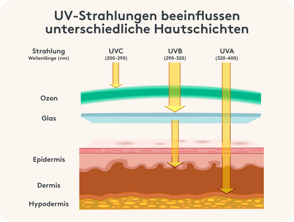 Schematische Darstellung der Wirkung von UV-Strahlen auf die Haut