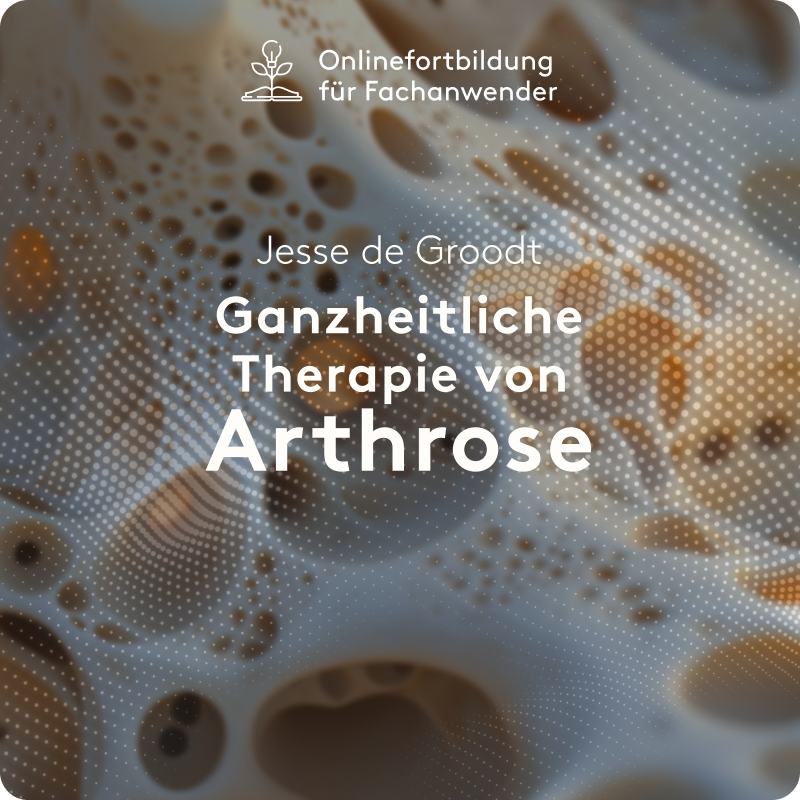 Ganzheitliche Therapie von Arthrose