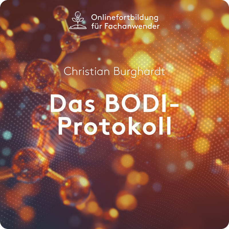 BODI-Protokoll: Vitamin-D-Stoffwechsel