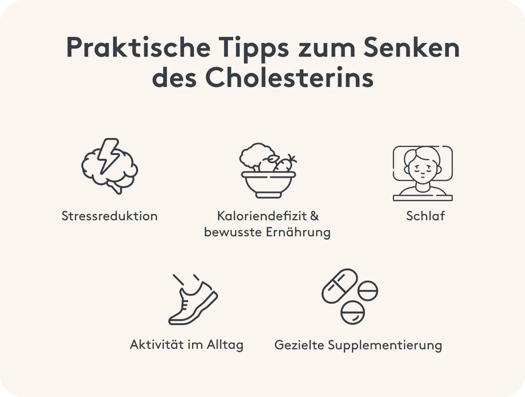 Hohes Cholesterin Trotz Sport Gesunder Ernährung mitocare.de