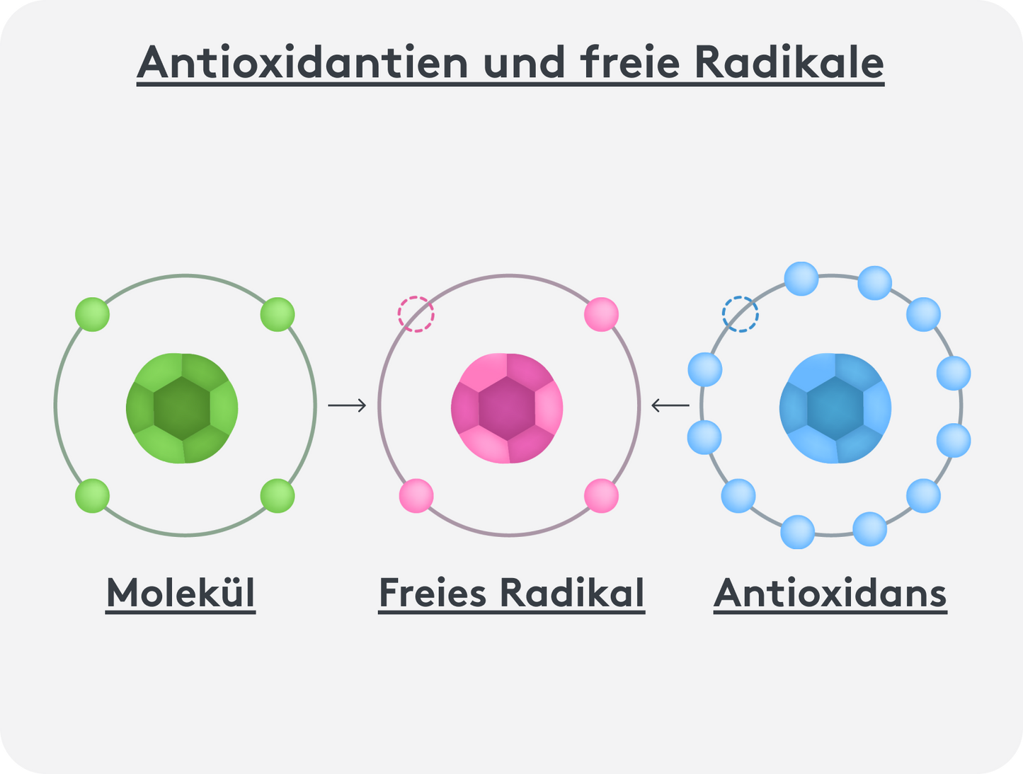 Grafische Darstellung von Molekuelen, freien Radikalen und Antioxidantien