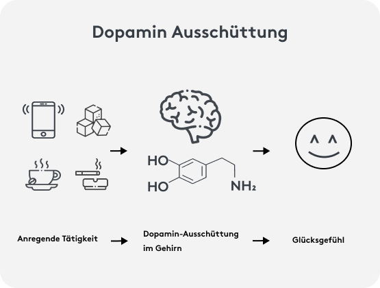 Grafik zu Dopamin beim Essen und ausschuetteng von Gluecksgefuehlen