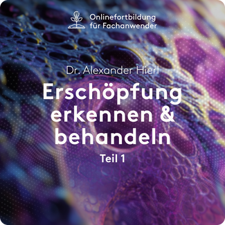 Automated Webinar - Erschöpfung erkennen und behandeln