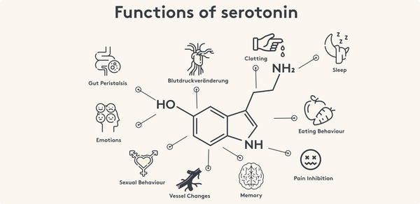 Serotonin functions at a glance