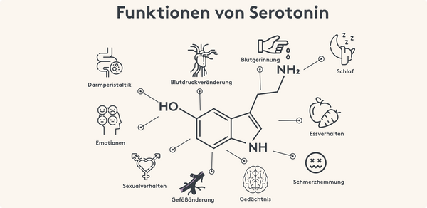 Funktionen von Serotonin im Überblick