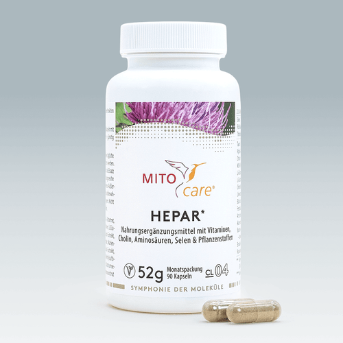 Glutathion: Definition, Funktion, Beispiel | MITOcare Glutathion: Definition, Funktion, Beispiel | MITOcare