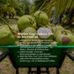 Organic MCT C8 oil