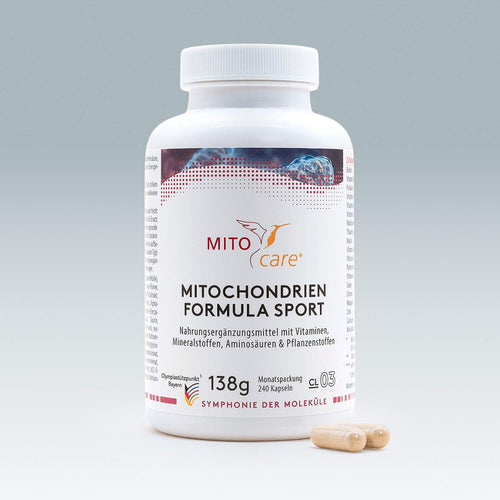 Glutathion: Definition, Funktion, Beispiel | MITOcare Glutathion: Definition, Funktion, Beispiel | MITOcare