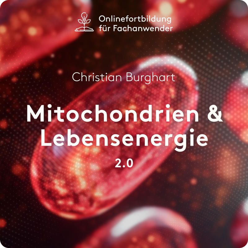 Automated Webinar | Mitochondrien & Lebensenergie 2.0