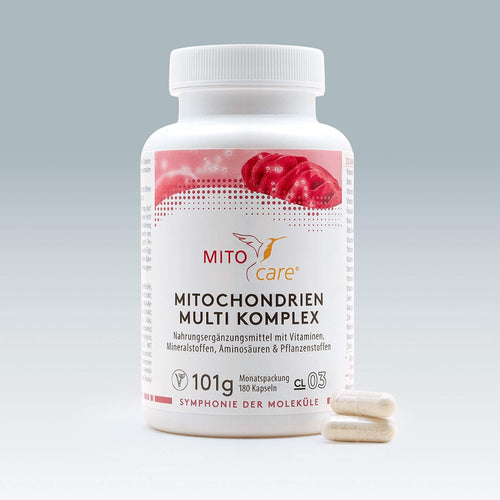 Glutathion: Definition, Funktion, Beispiel | MITOcare Glutathion: Definition, Funktion, Beispiel | MITOcare