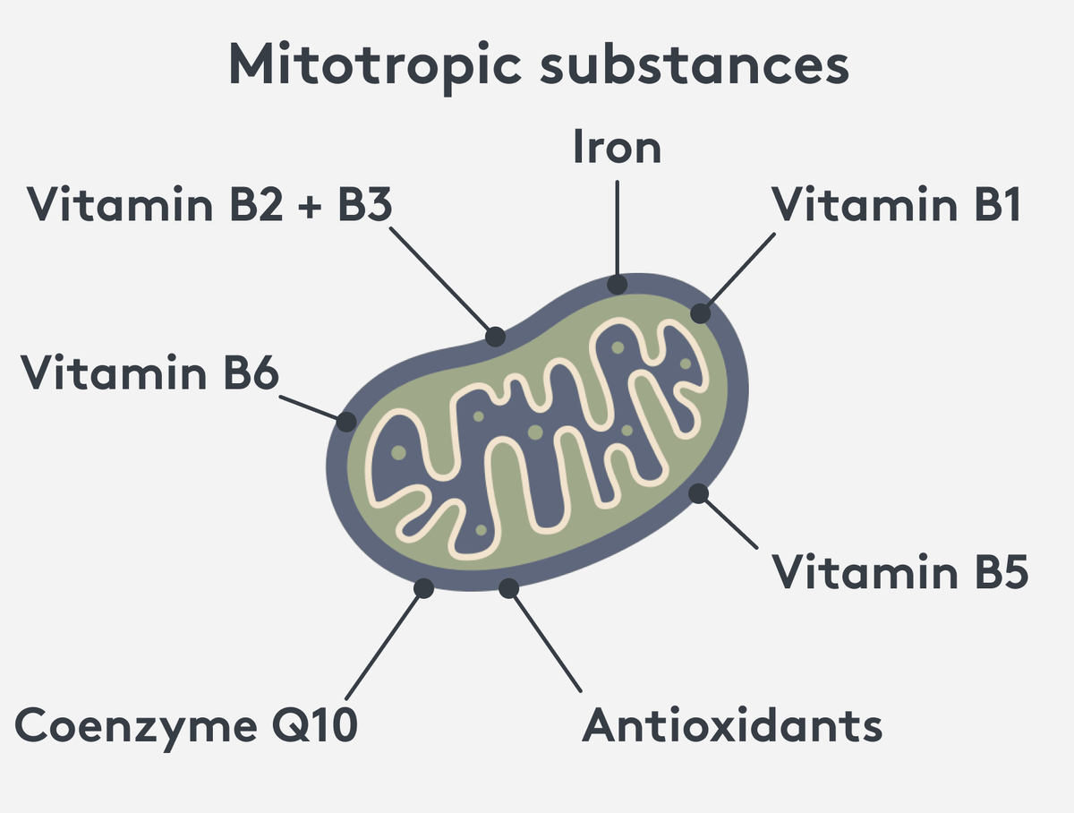 Mitotropic Substances Mitochondria