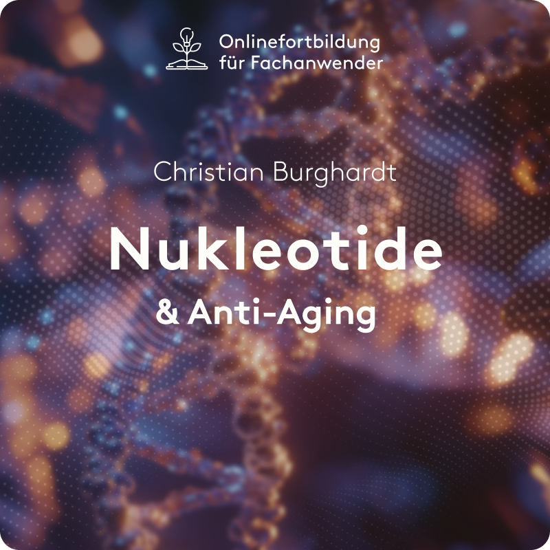 Nukleotide und Anti-Aging