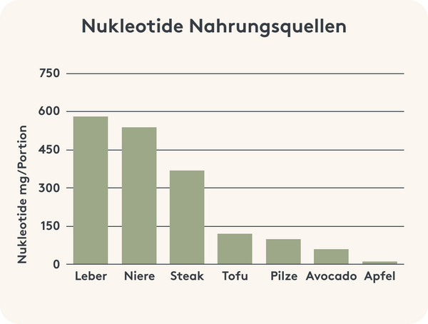 Übersicht über Nahrungsmittel, die Nukleotide enthalten