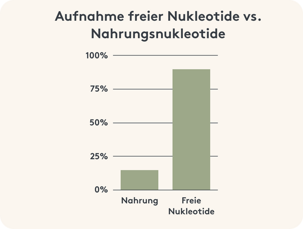 Übersicht über die Menge an Nukleotiden, die der Körper über die Nahrung oder als freie Nukleotide aufnehmen kann