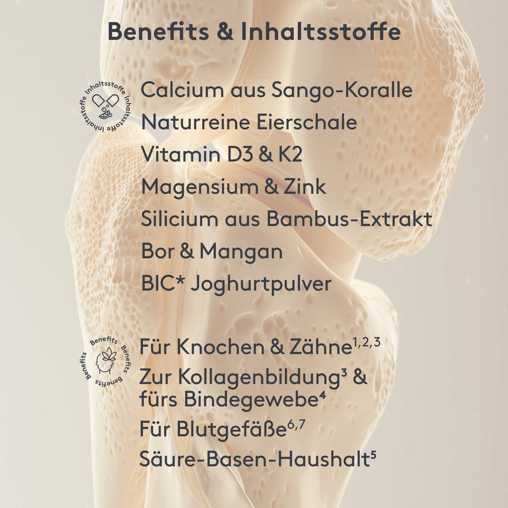 Benefits und Inhaltstoffe MITOcare ORTHObone