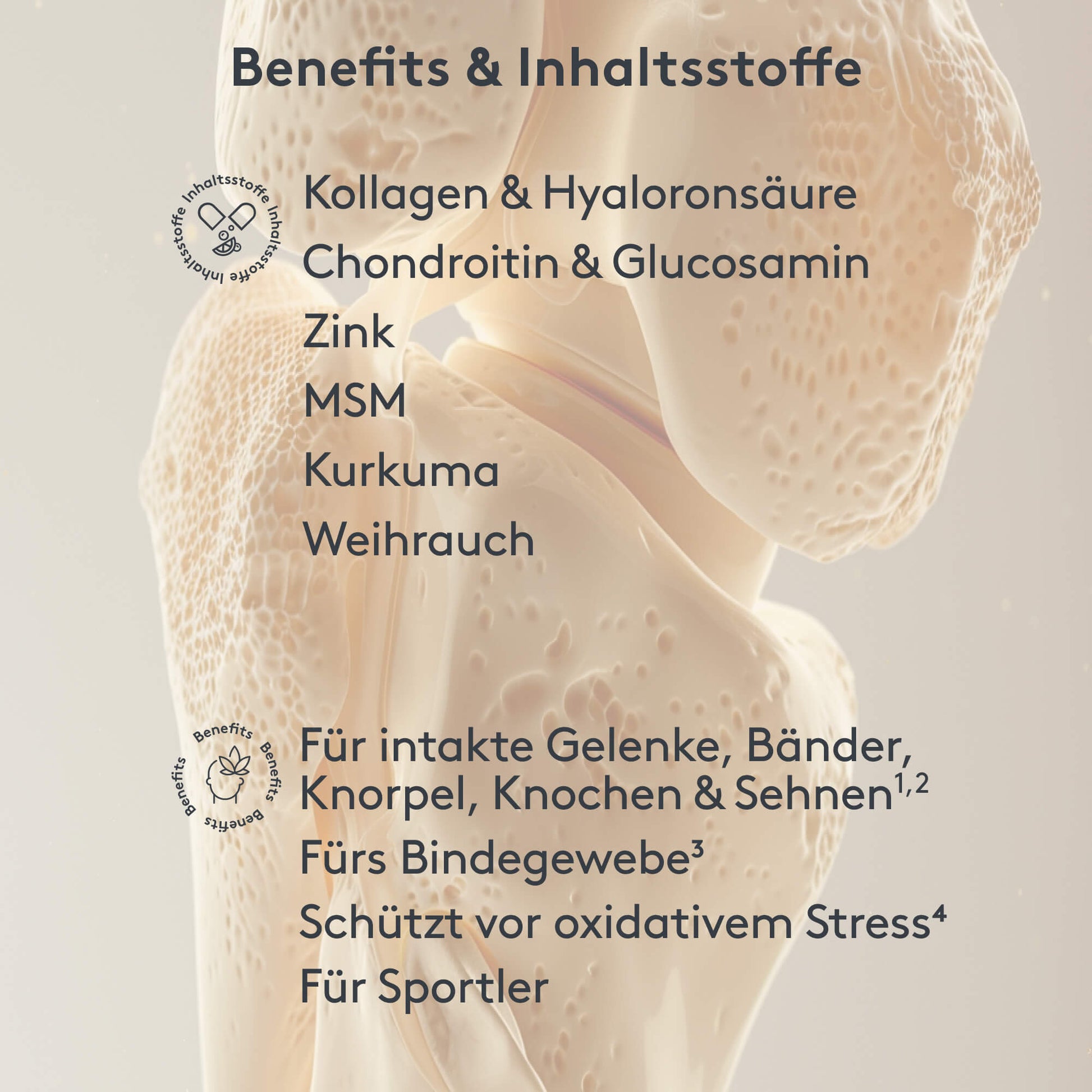 Benefits und Inhaltstoffe MITOcare ORTHOjoint