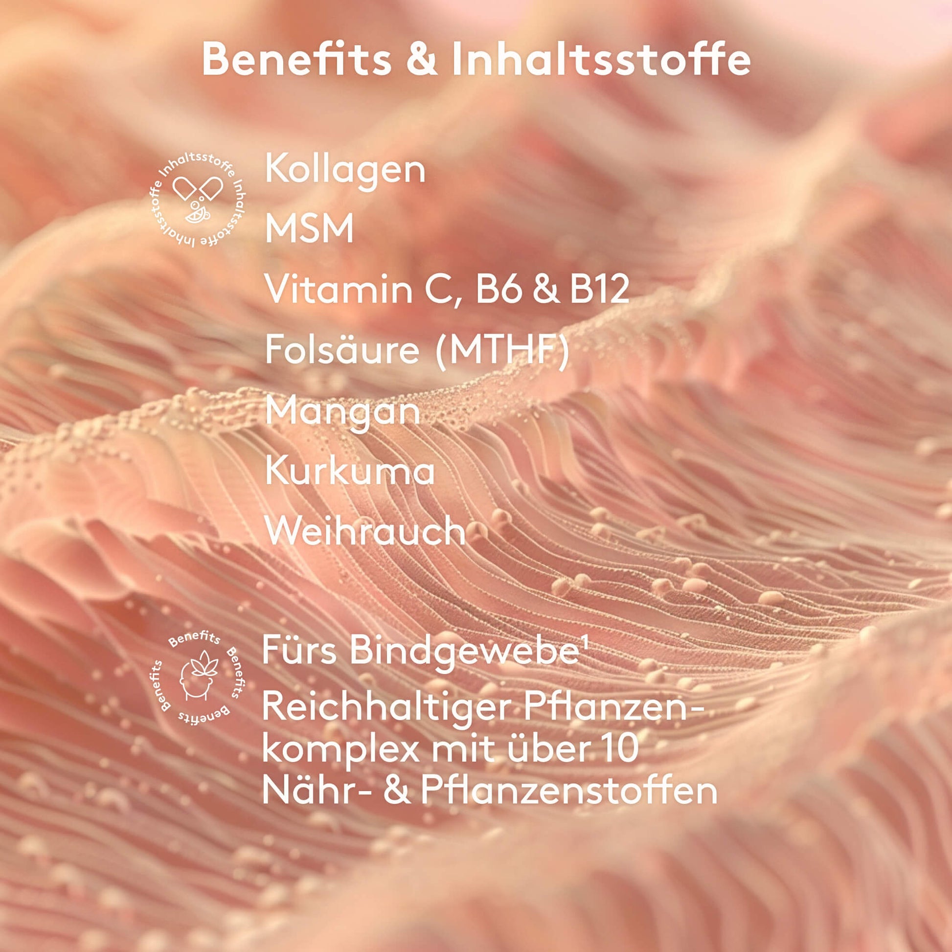 Benefits und Inhaltstoffe MITOcare ORTHObone