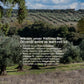 Organic extra virgin olive oil