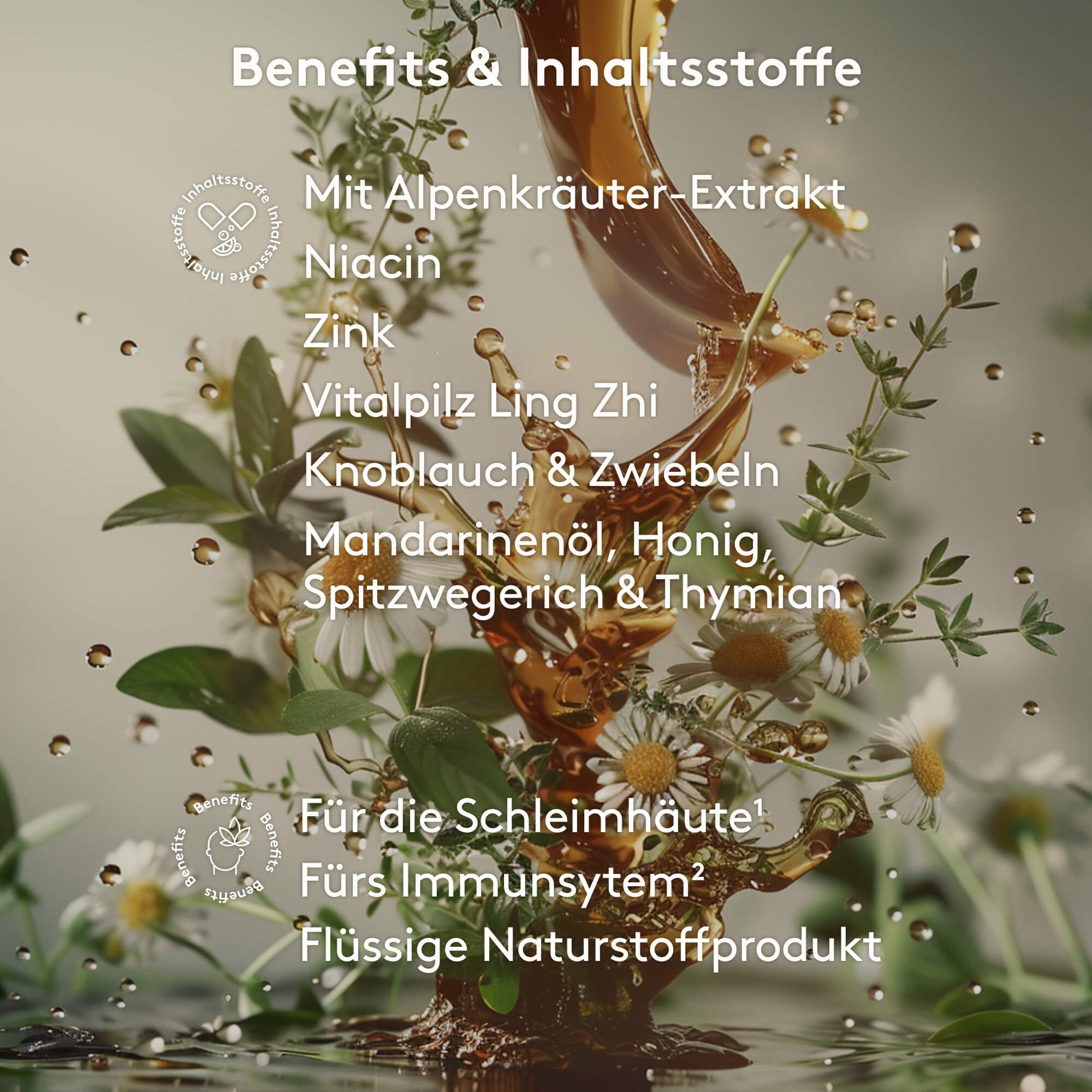 Benefits und Inhaltstoffe MITOcare Phytobiose Liquid 