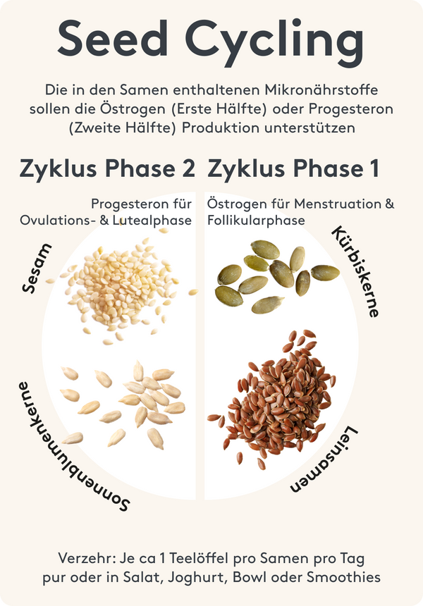 Seed Cycling Anleitung