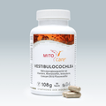 Vestibulocochlea