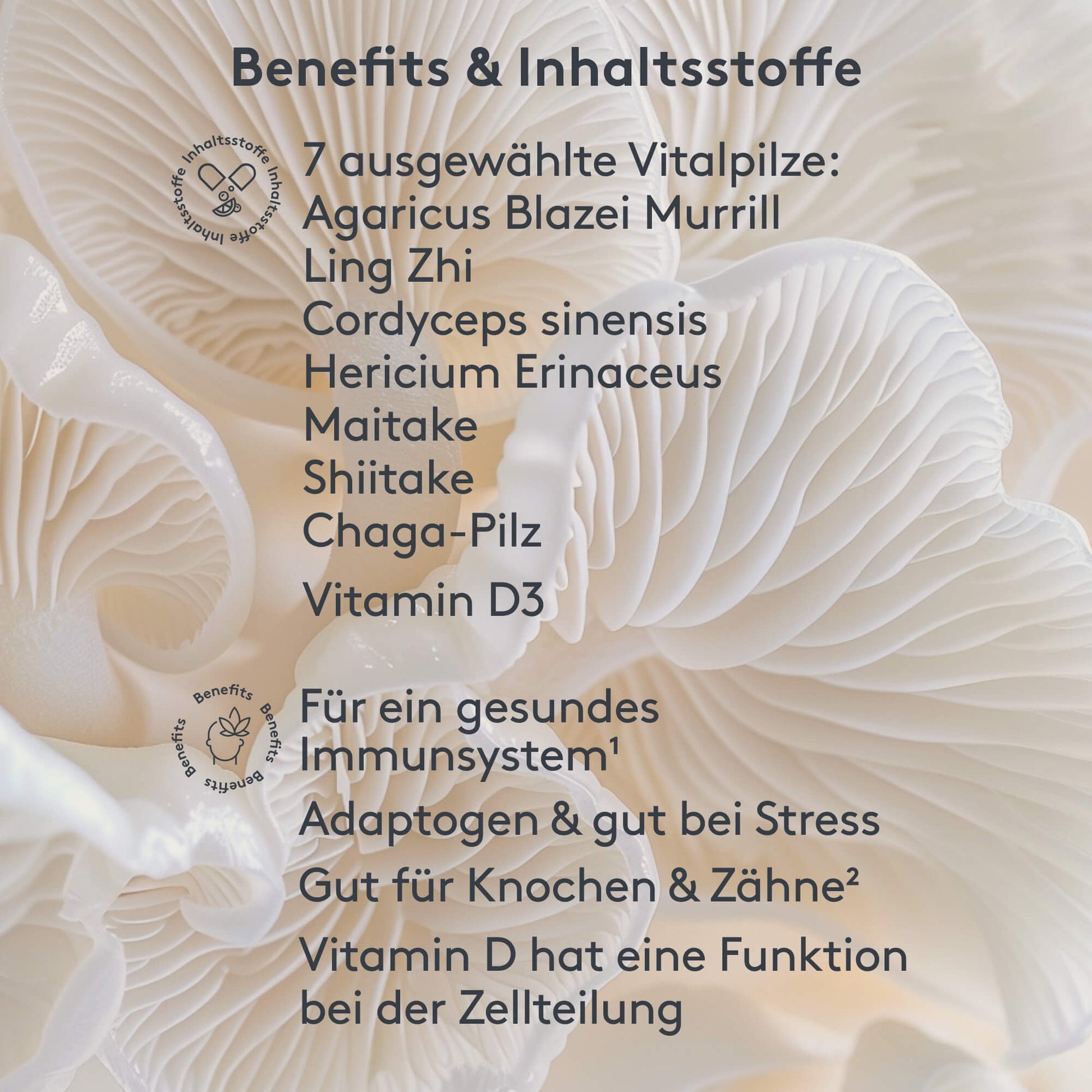 Benefits und Inhaltstoffe MITOcare Vitalpilze