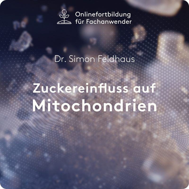 Zuckereinfluss auf die Mitochondrien