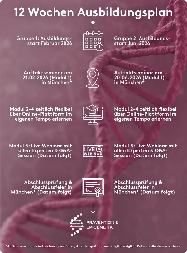 Der Ablauf der Ausbildung im Detail