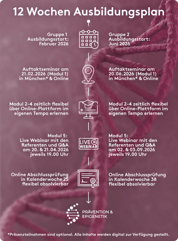 Der Ablauf der Ausbildung im Detail