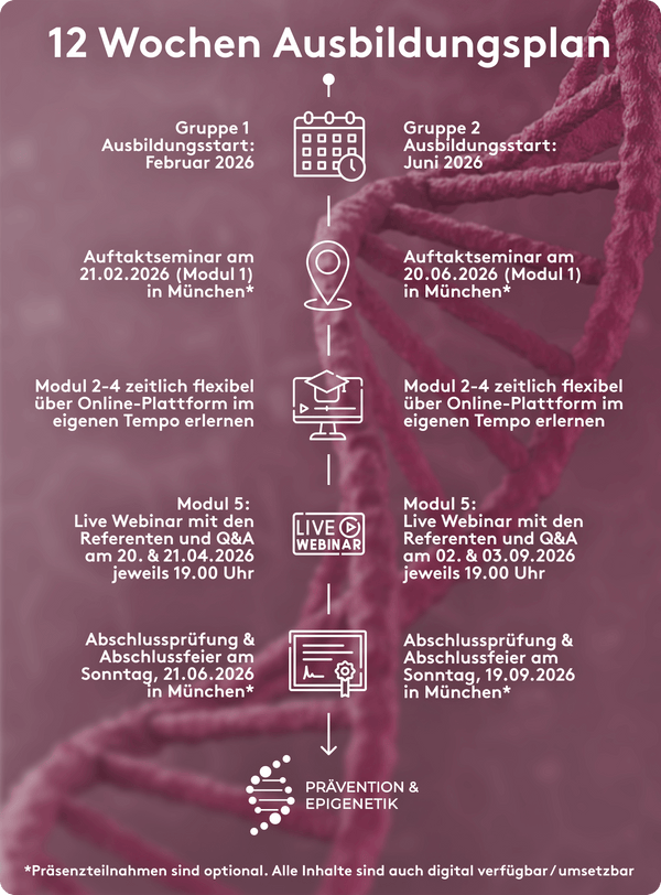 Der Ablauf der Ausbildung im Detail