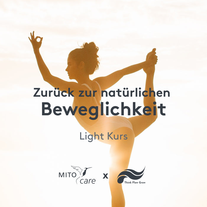 Zurück zur natürlichen Beweglichkeit - Light Kurs