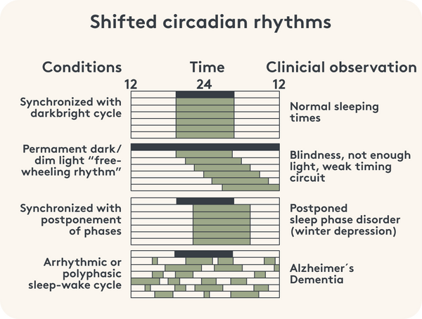 Graphic representation of a shifted circadian rhythm