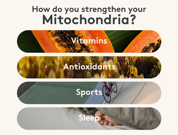 Infographic Mitochondria Strengths Vitamins Antioxidants Sport Sleep