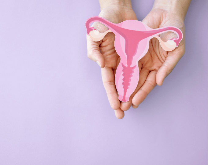 Hand holding paper in the shape of a female uterus