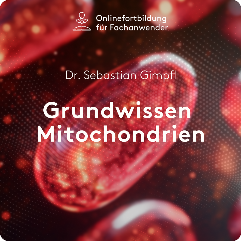 Grundwissen Mitochondrien