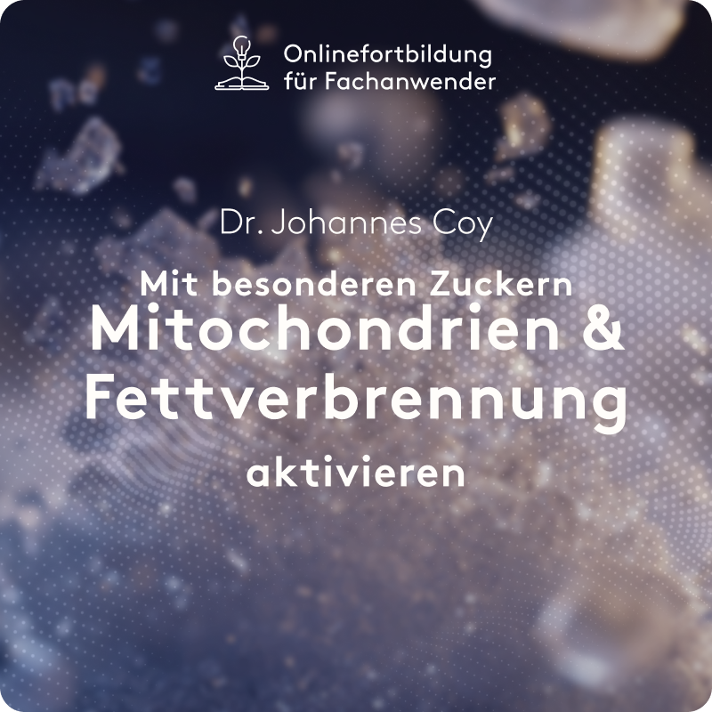 Mit besonderen Zuckern Mitochondrien und Fettverbrennung aktivieren